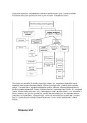 Chirurgijos ligos istorija: išvarža 11 puslapis