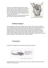 Chirurgijos ligos istorija: išvarža 5 puslapis