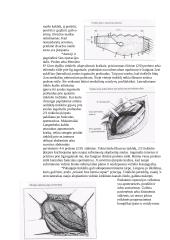 Chirurgijos ligos istorija: išvarža 9 puslapis