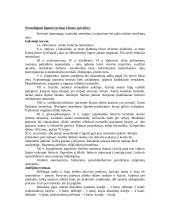 Ligos istorija: neurologija 2 puslapis