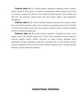 Žaidimai vaikams 2 puslapis