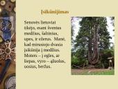 "Geros" mirties samprata skirtingose kultūrose 6 puslapis