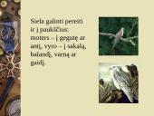 "Geros" mirties samprata skirtingose kultūrose 7 puslapis