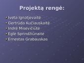 Buities ir tradicijų pokyčiai 13 puslapis