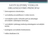 Centrinės ir vietinės valdžios formavimas bei formavimo ypatumai 16 puslapis