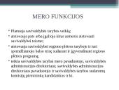 Centrinės ir vietinės valdžios formavimas bei formavimo ypatumai 17 puslapis