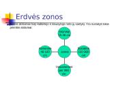 Dalykinė komunikacija 13 puslapis