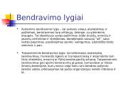 Dalykinė komunikacija 8 puslapis