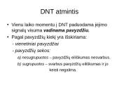 Dirbtinių neuronų tinklų teorija 11 puslapis