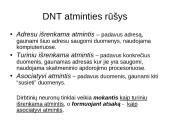 Dirbtinių neuronų tinklų teorija 12 puslapis