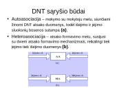 Dirbtinių neuronų tinklų teorija 13 puslapis
