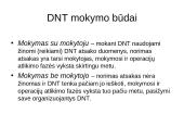 Dirbtinių neuronų tinklų teorija 17 puslapis