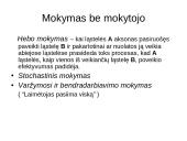 Dirbtinių neuronų tinklų teorija 19 puslapis