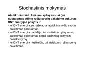 Dirbtinių neuronų tinklų teorija 20 puslapis