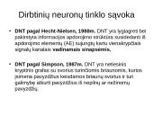 Dirbtinių neuronų tinklų teorija 3 puslapis