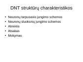 Dirbtinių neuronų tinklų teorija 4 puslapis