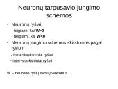 Dirbtinių neuronų tinklų teorija 5 puslapis