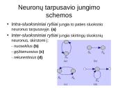 Dirbtinių neuronų tinklų teorija 6 puslapis
