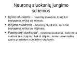 Dirbtinių neuronų tinklų teorija 7 puslapis