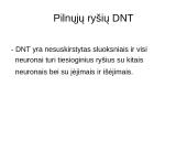 Dirbtinių neuronų tinklų teorija 8 puslapis