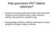 Dirbtinių neuronų tinklų teorija 10 puslapis