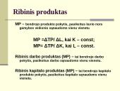 Gamybos teorija ir verslo organizavimo formos 14 puslapis