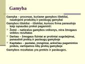 Gamybos teorija ir verslo organizavimo formos 4 puslapis