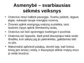 Geras šiuolaikinis oratorius pagal D. Karnegį 3 puslapis