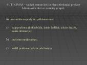 Grupės įtaka asmenybei 5 puslapis