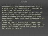 Grupės įtaka asmenybei 10 puslapis