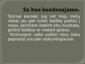 Išankstinė nuostata ir diskriminacija 6 puslapis