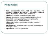 Joy Paul Guilford skaidrės 12 puslapis