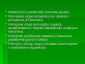 Kalbotyros viktorina 2 puslapis