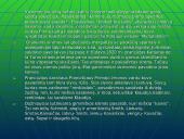 Kalbotyros viktorina 18 puslapis