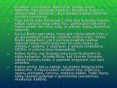 Kalbotyros viktorina 19 puslapis