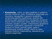 Kinestezinių, statinių ir organinių pojūčių apibūdinimas 2 puslapis