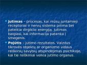 Kinestezinių, statinių ir organinių pojūčių apibūdinimas 11 puslapis