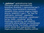 Kinestezinių, statinių ir organinių pojūčių apibūdinimas 12 puslapis