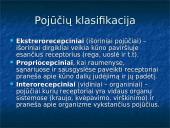 Kinestezinių, statinių ir organinių pojūčių apibūdinimas 14 puslapis