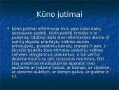 Kinestezinių, statinių ir organinių pojūčių apibūdinimas 16 puslapis