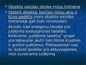 Kinestezinių, statinių ir organinių pojūčių apibūdinimas 19 puslapis