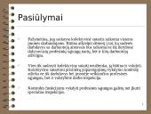 Kolektyvinės sutartys viešajame sektoriuje 13 puslapis