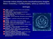 Lietuviškoji mitologija 4 puslapis