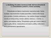 Mažeikių Rajono savivaldybė vietos spaudoje 3 puslapis