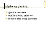 Medienos gaminiai 2 puslapis