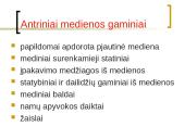 Medienos gaminiai 11 puslapis