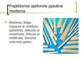 Medienos gaminiai 12 puslapis