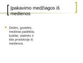 Medienos gaminiai 14 puslapis