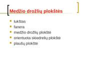 Medienos gaminiai 5 puslapis