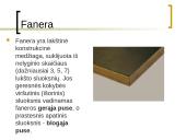 Medienos gaminiai 7 puslapis